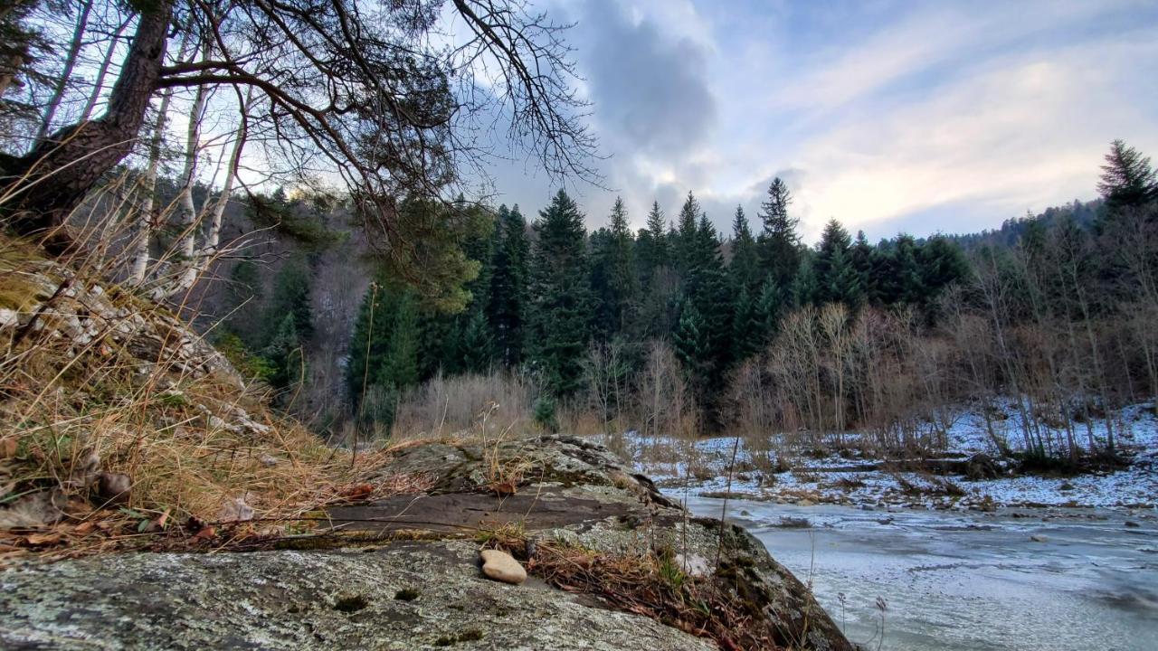 затишна Вілла *
